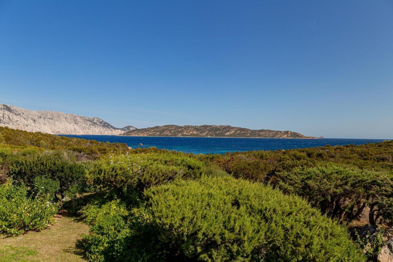 Appartamento Cala Paradiso 圣特奥多罗 外观 照片
